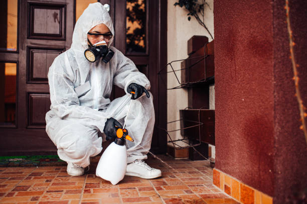Reliable Cockroach Control contractor in Inverness Highlands South, FL by Nex Pest Control